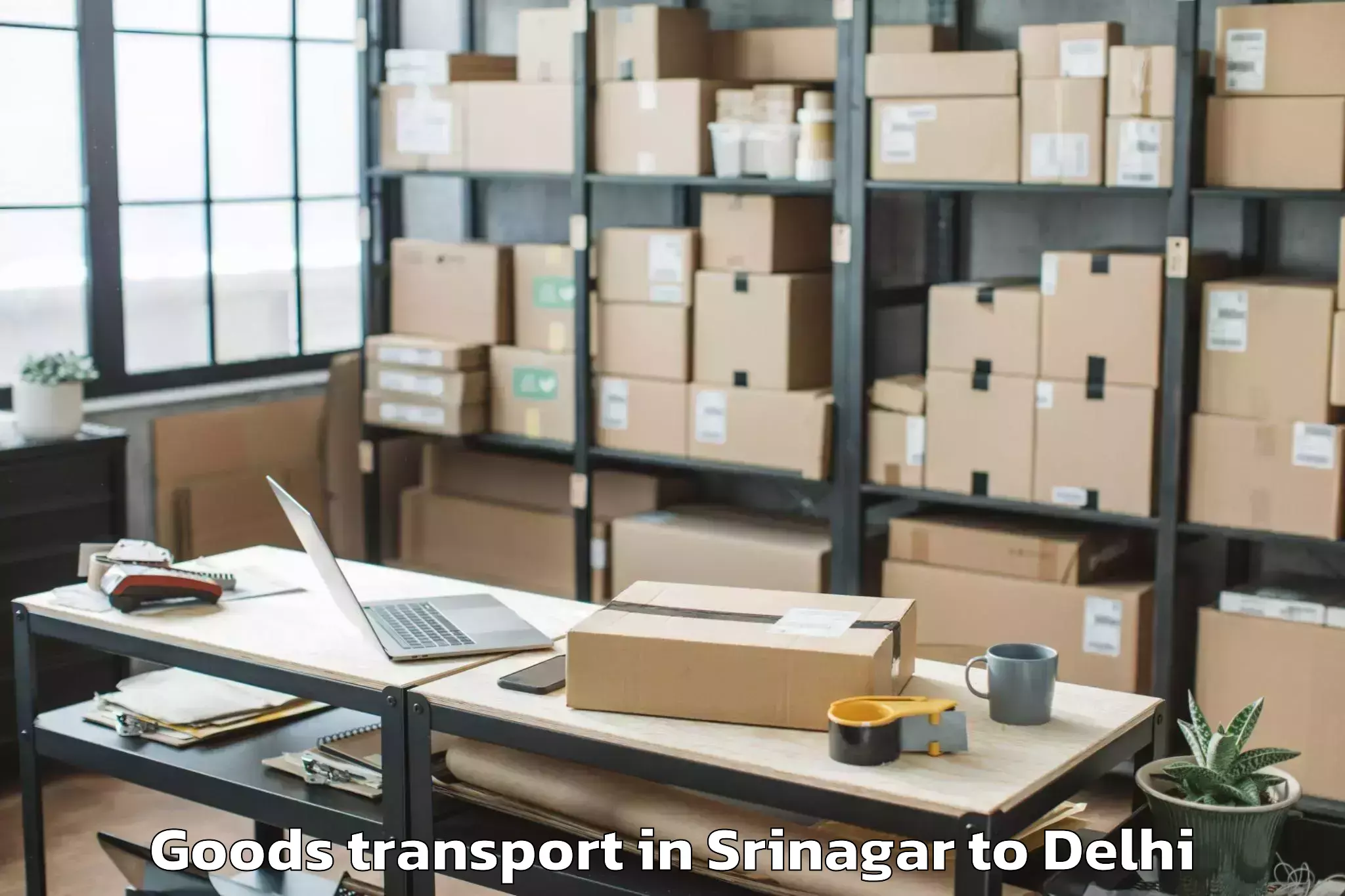 Expert Srinagar to East Delhi Mall Goods Transport